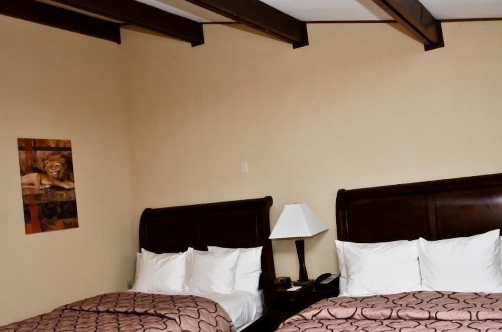 Pacer Inn And Suites Delaware