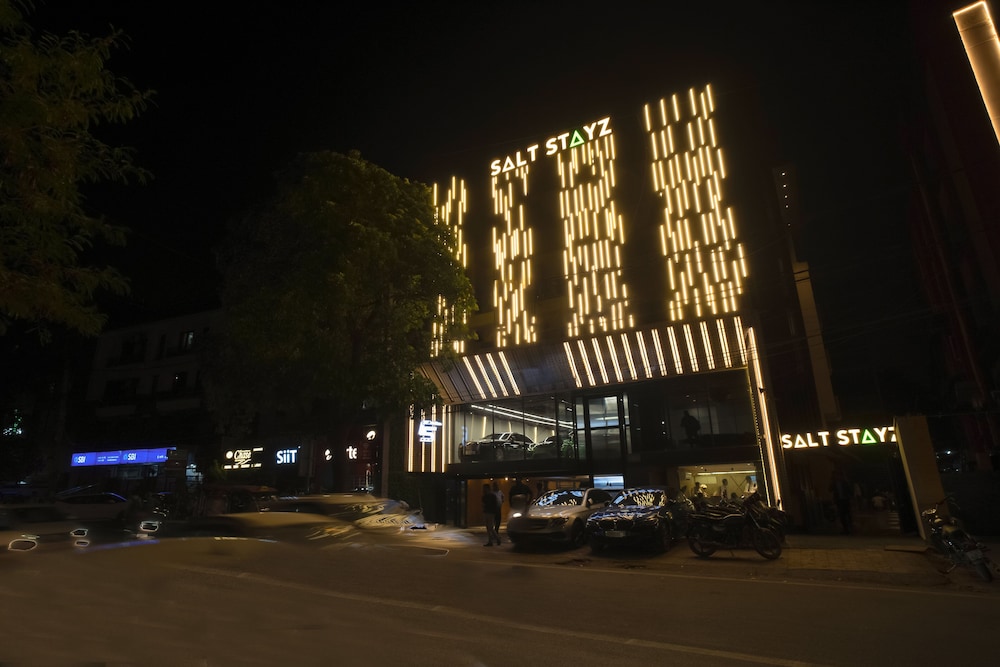 Saltstayz Premier Naraina Central Delhi
