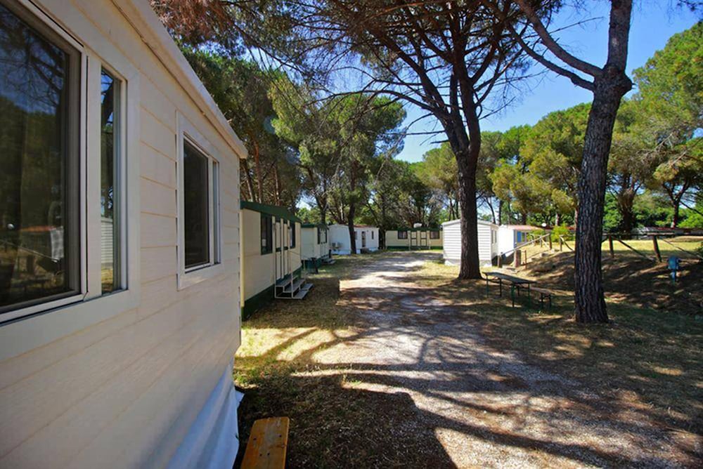 Camping Aurelia Club