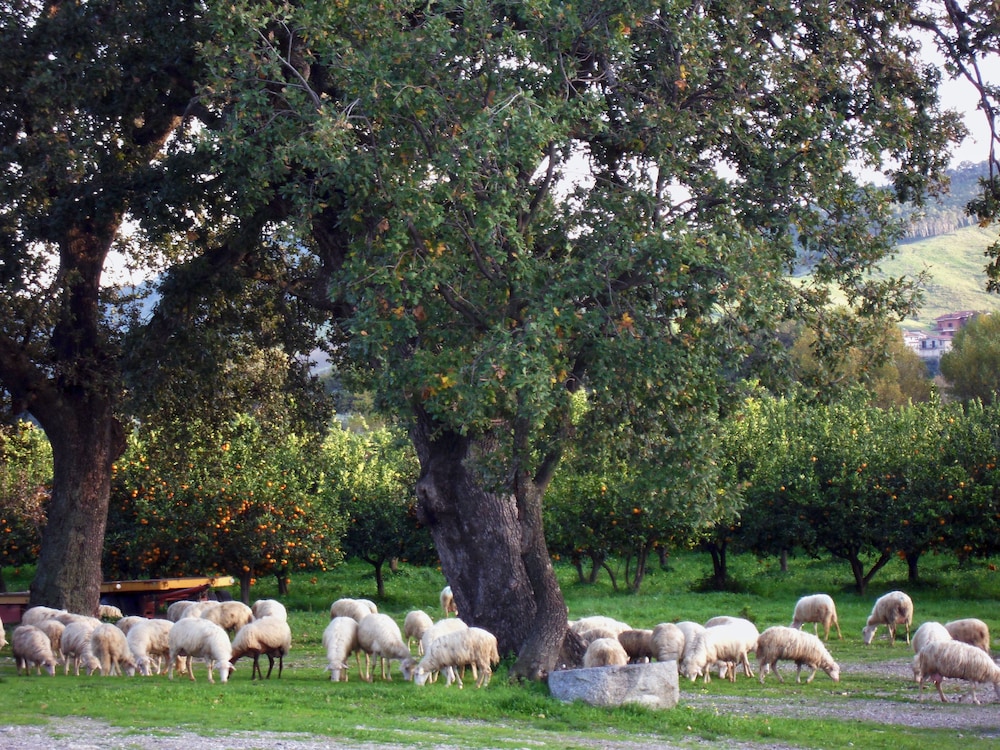 Agriturismo Modi