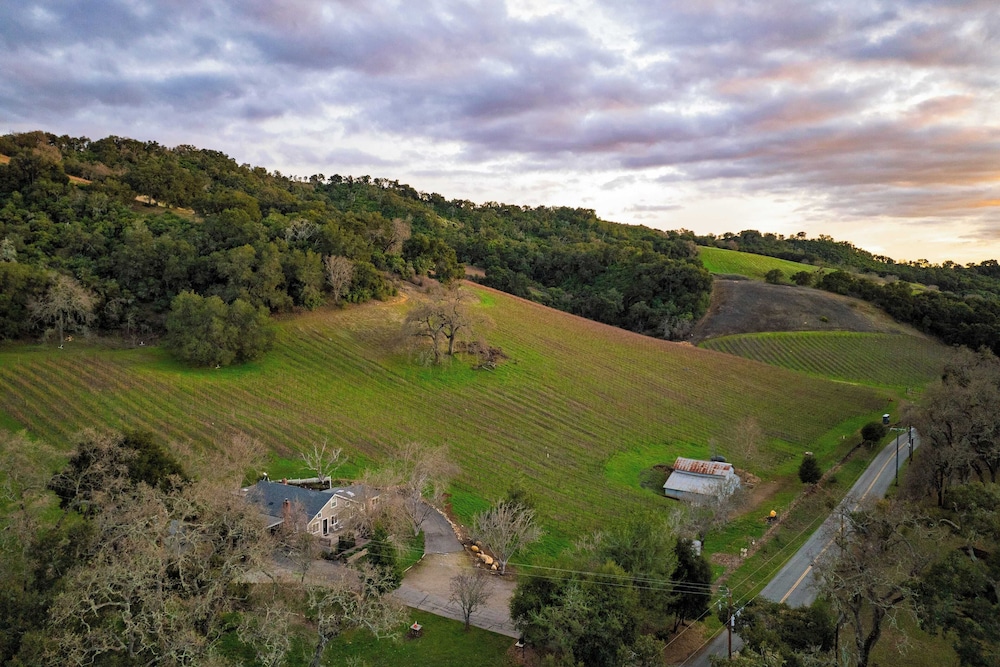 Luxury Wine Country Haven + Vineyard Views Near Top Wineries Adelaida Farmhouse