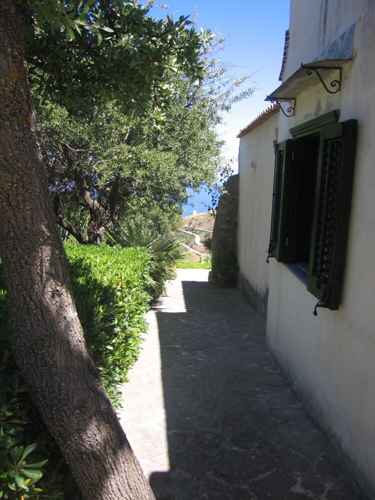 Photo 34
