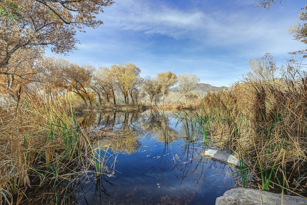 Mtn-view Weldon Home: Walk to Pacific Crest Trail