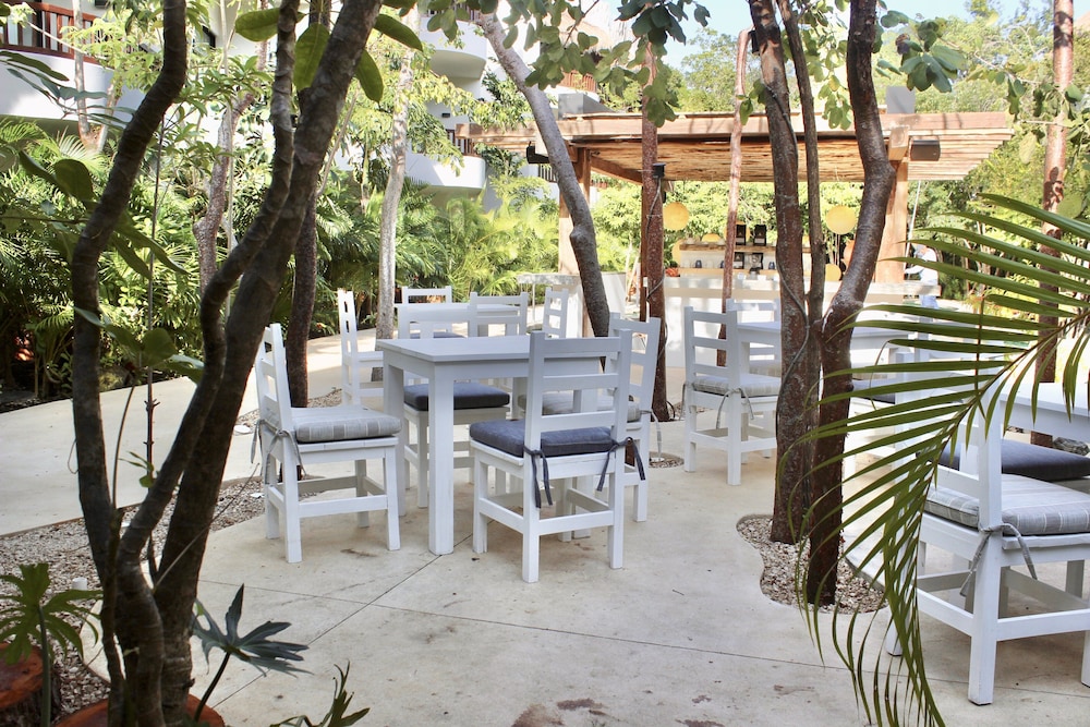 Kimpton Aluna Tulum, an IHG Hotel - Property Image 105