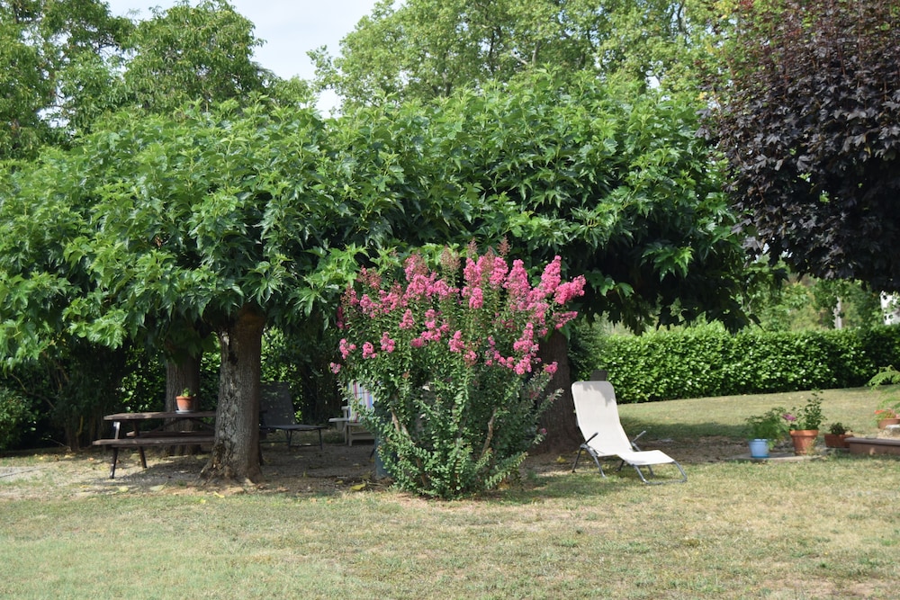 Le Nid de l'Ecureuil - Image 5