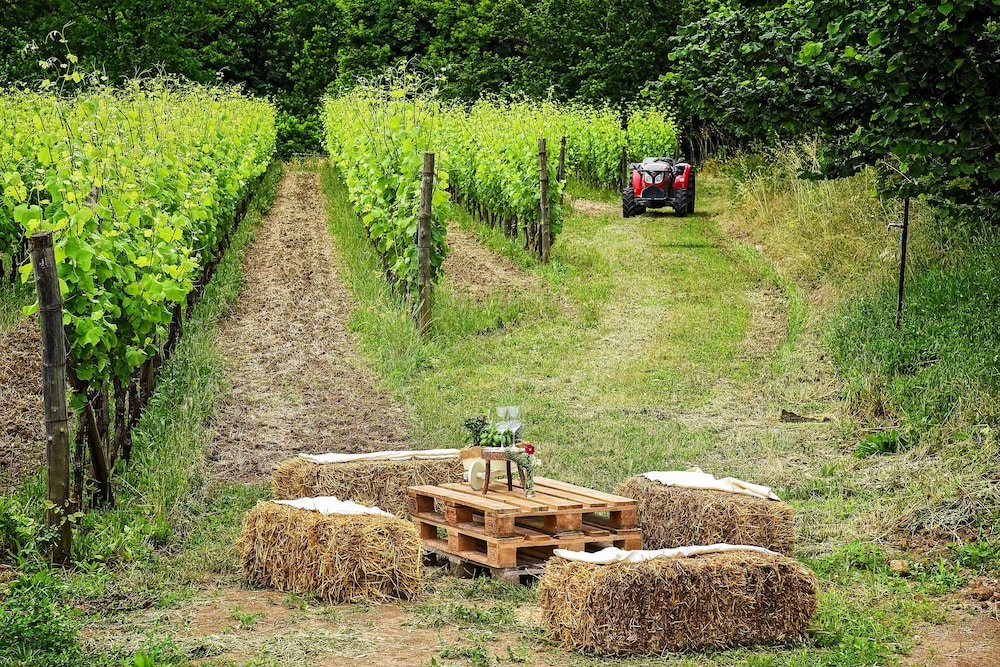 Agriturismo Guerritore