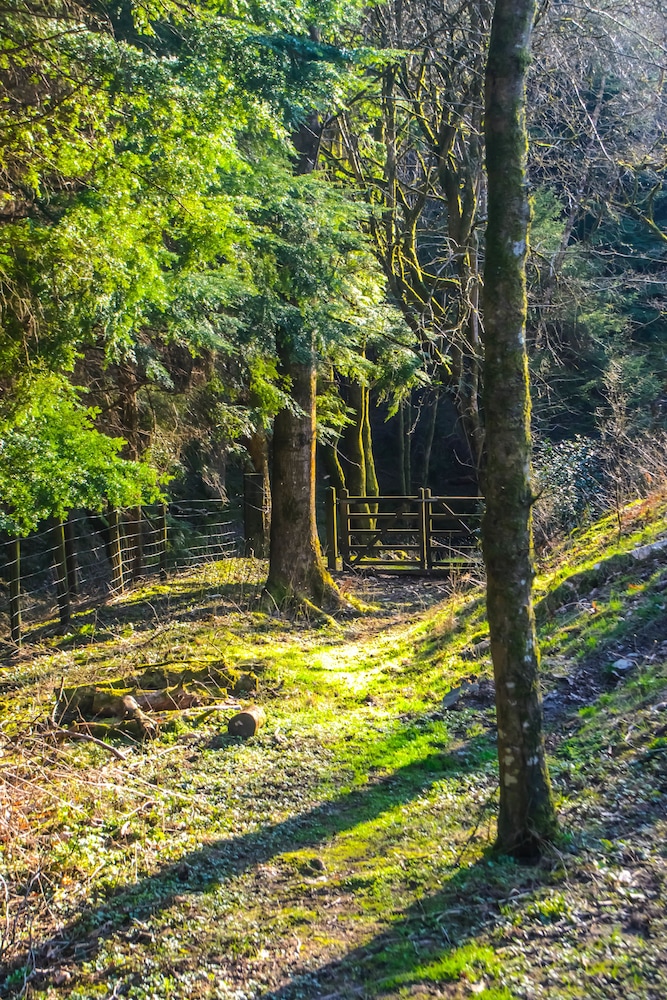 Llethrau Farm