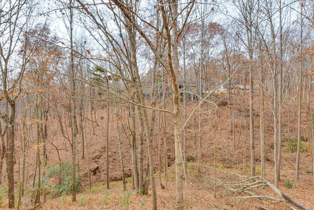 Hike & Sip in North Georgia: Apartment w/ Deck