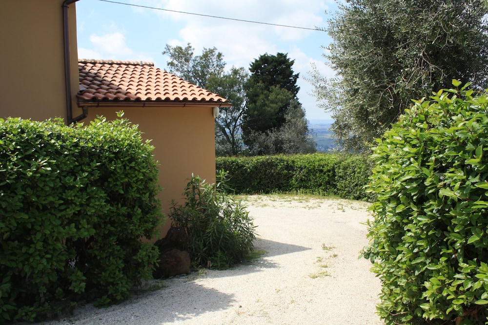 Photo 42