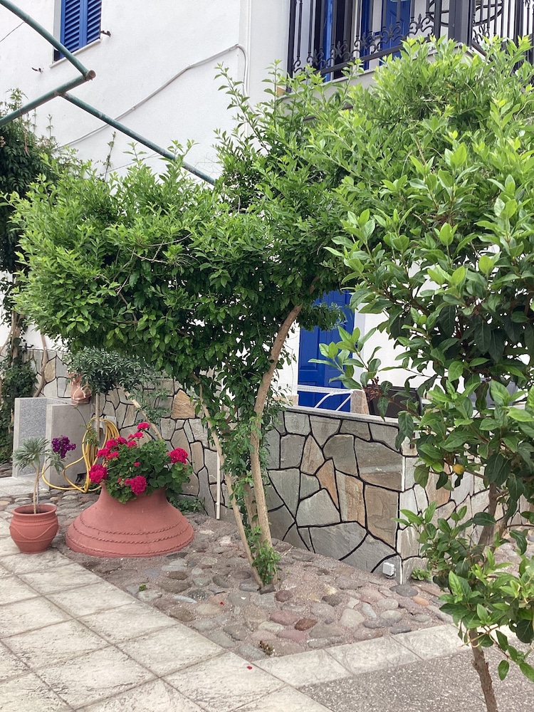 Anaxos Garden