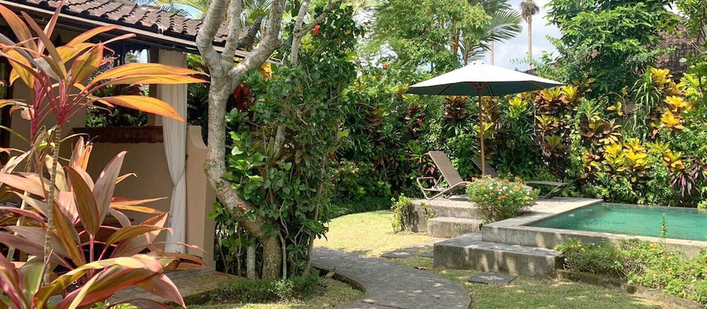 Devi's Place