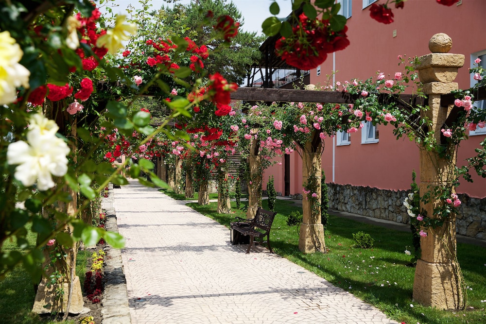 Alean Family Resort & SPA Riviera - All inclusive
