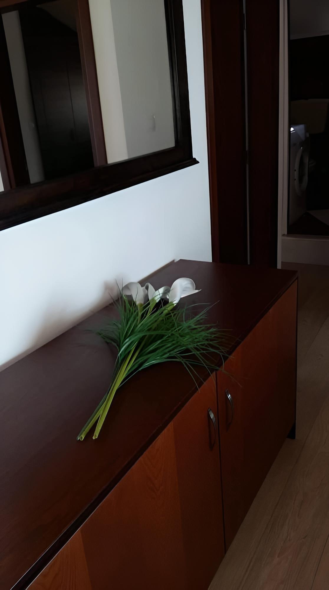 Maira Luxury Studios