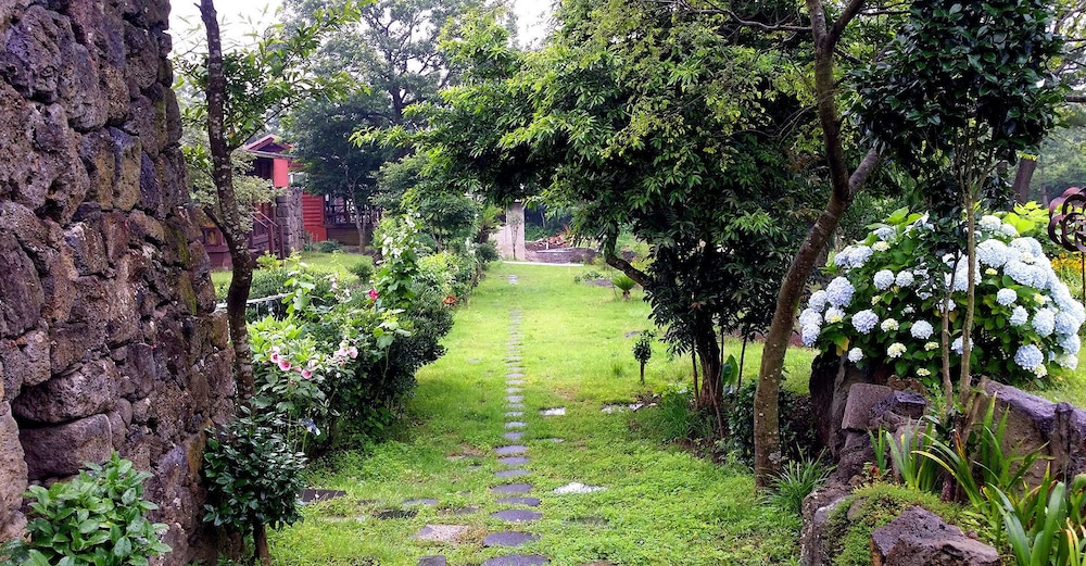 Gotjawal Geomun Oreum Pension