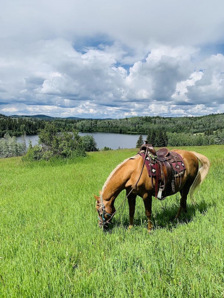 Montana Hill Guest Ranch