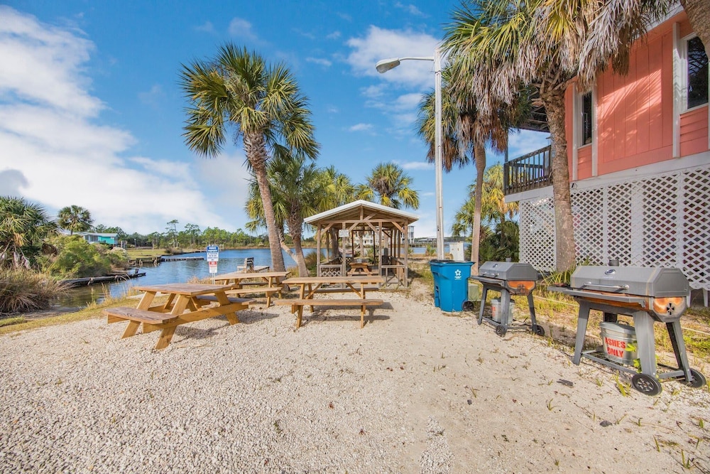 The Cove 205b