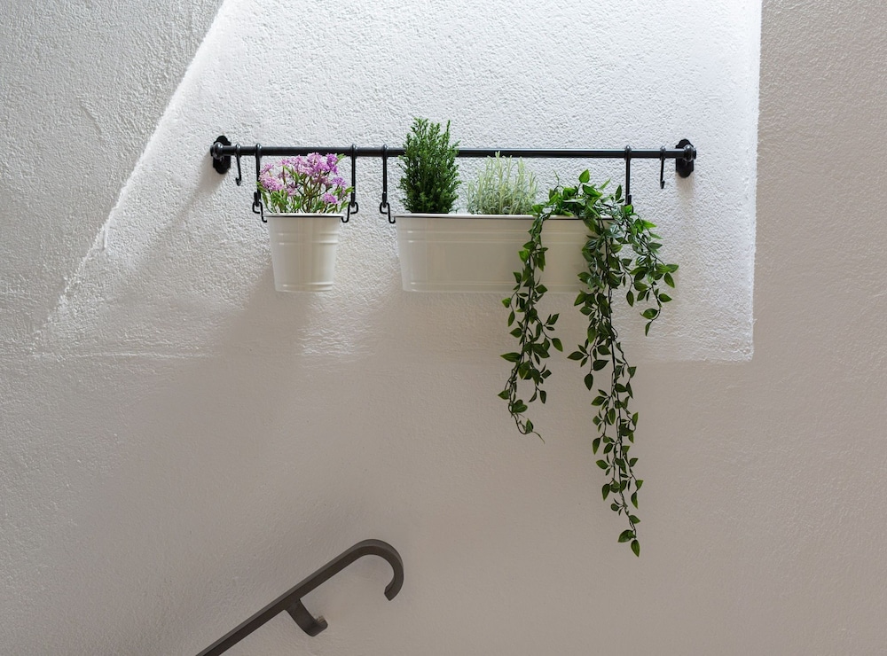 Vibrant and Elegant Downtown Krk Apartments