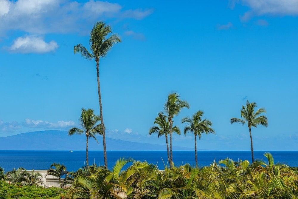 Wailea Ekolu 803 1 Bedroom Condo