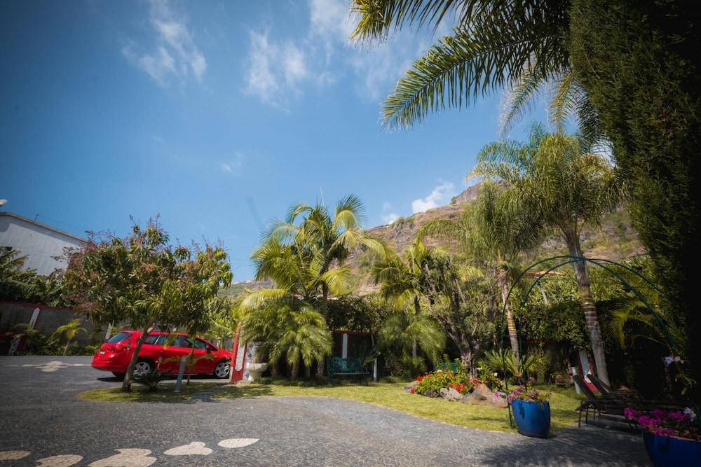Quinta da Tia Briosa Casa da Av by Homie view 5