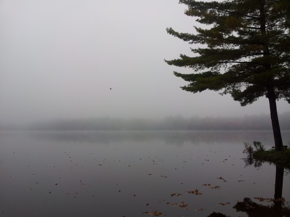 Black Lake Cabins