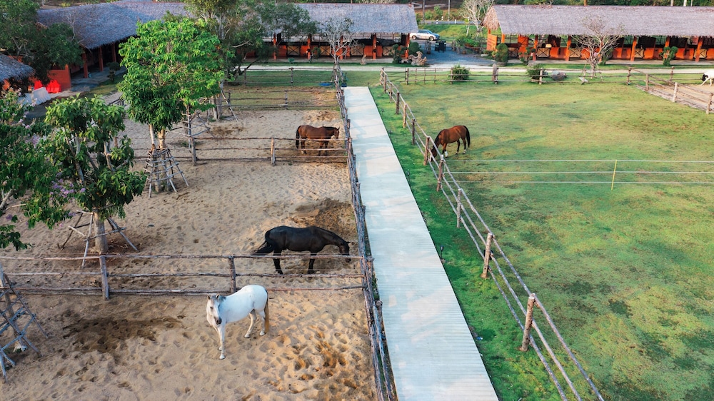 Niran Farm