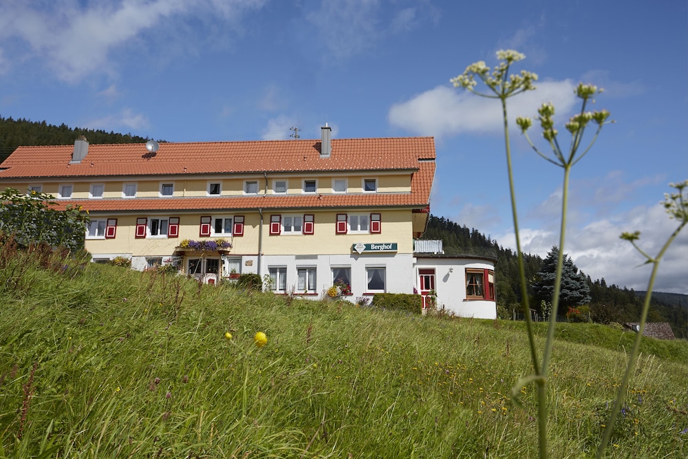 Gasthof-Pension Berghof view 4
