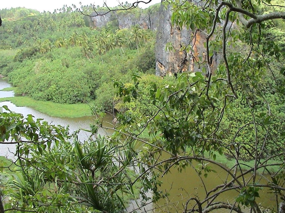 Ara Moana Bungalows