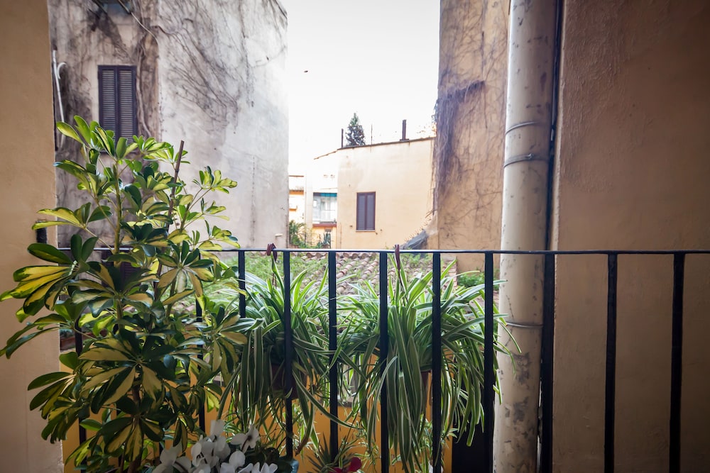 Babuccio Art Inn