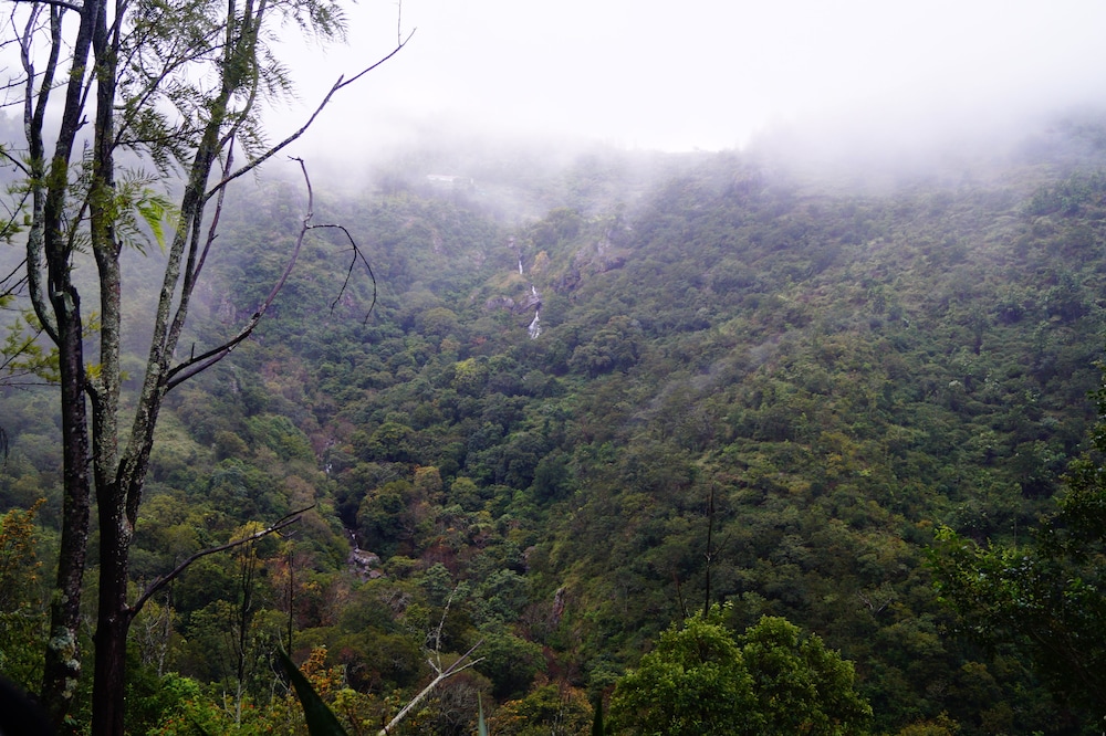 Secret Valley Jungle Resort