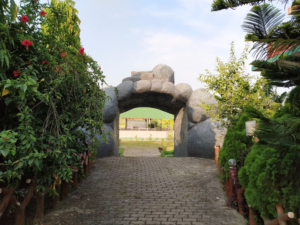 Photo 21