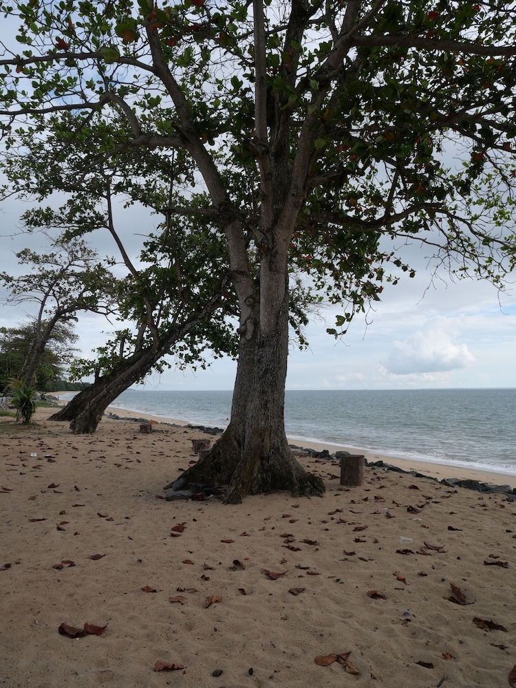 Photo 43