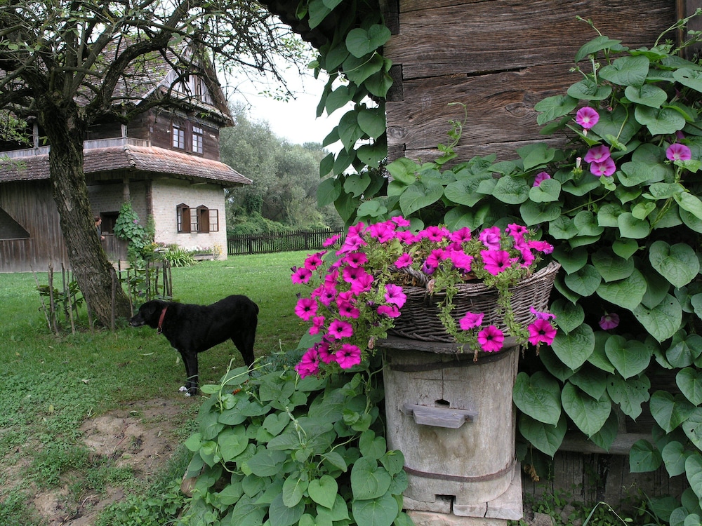 Photo 21