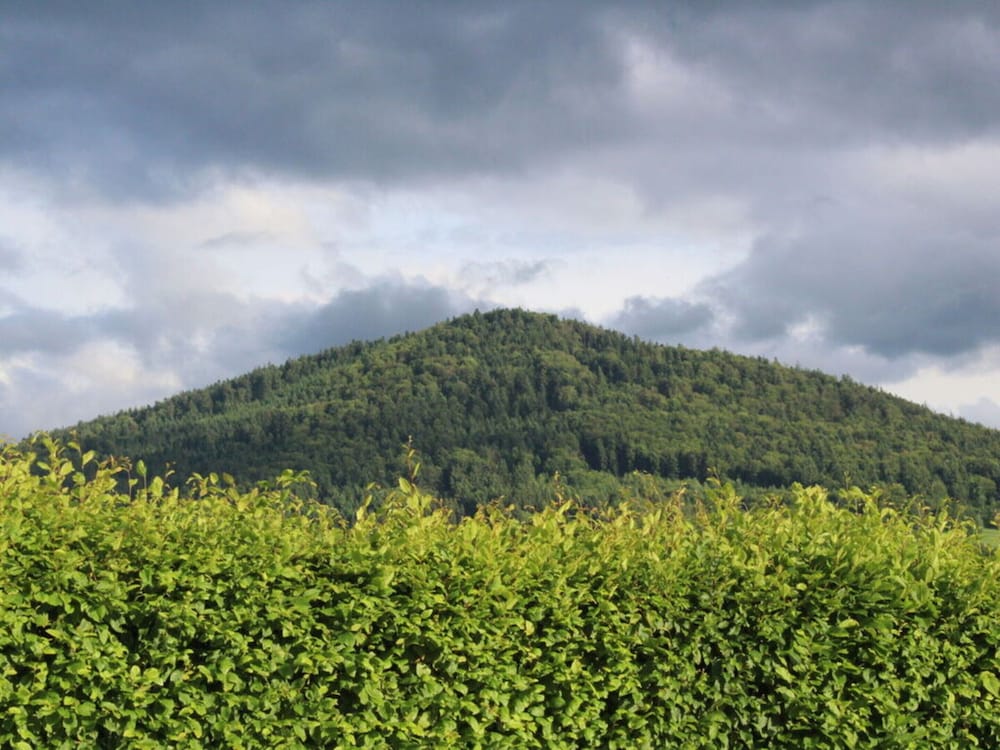 Huis Staffelberg App.802