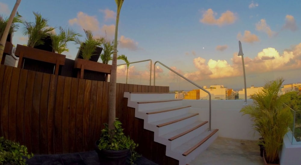 roof