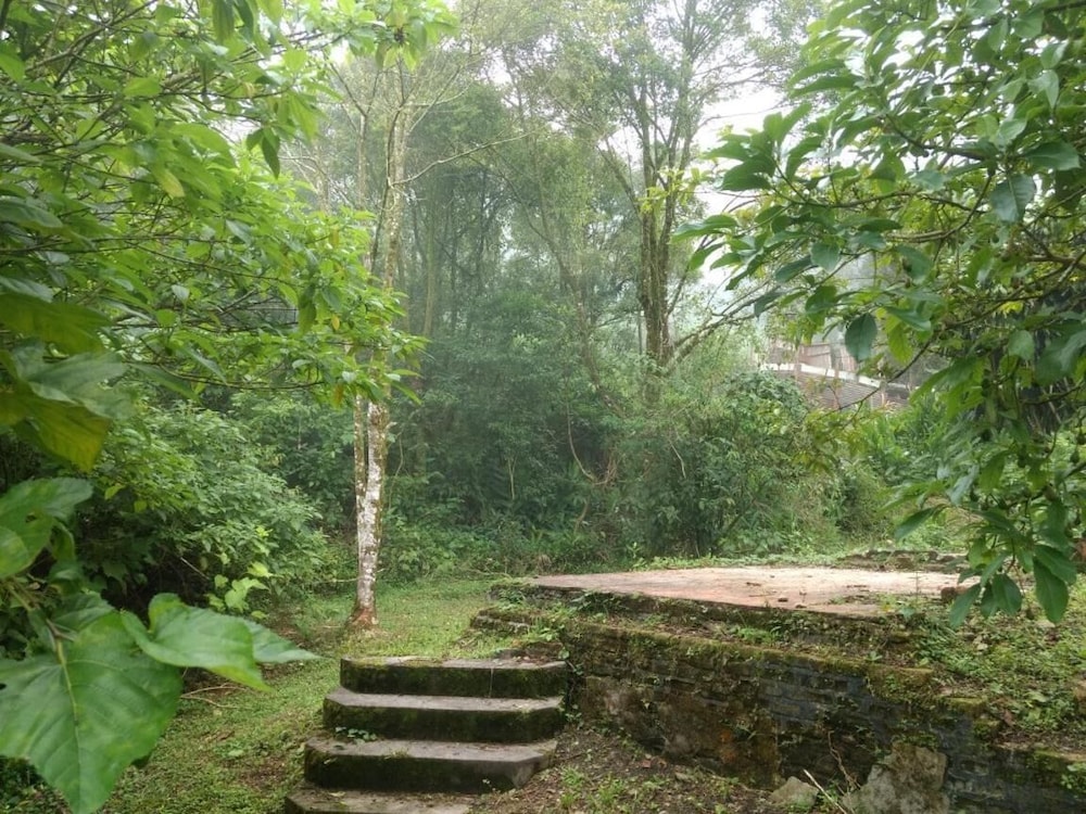 Photo 42