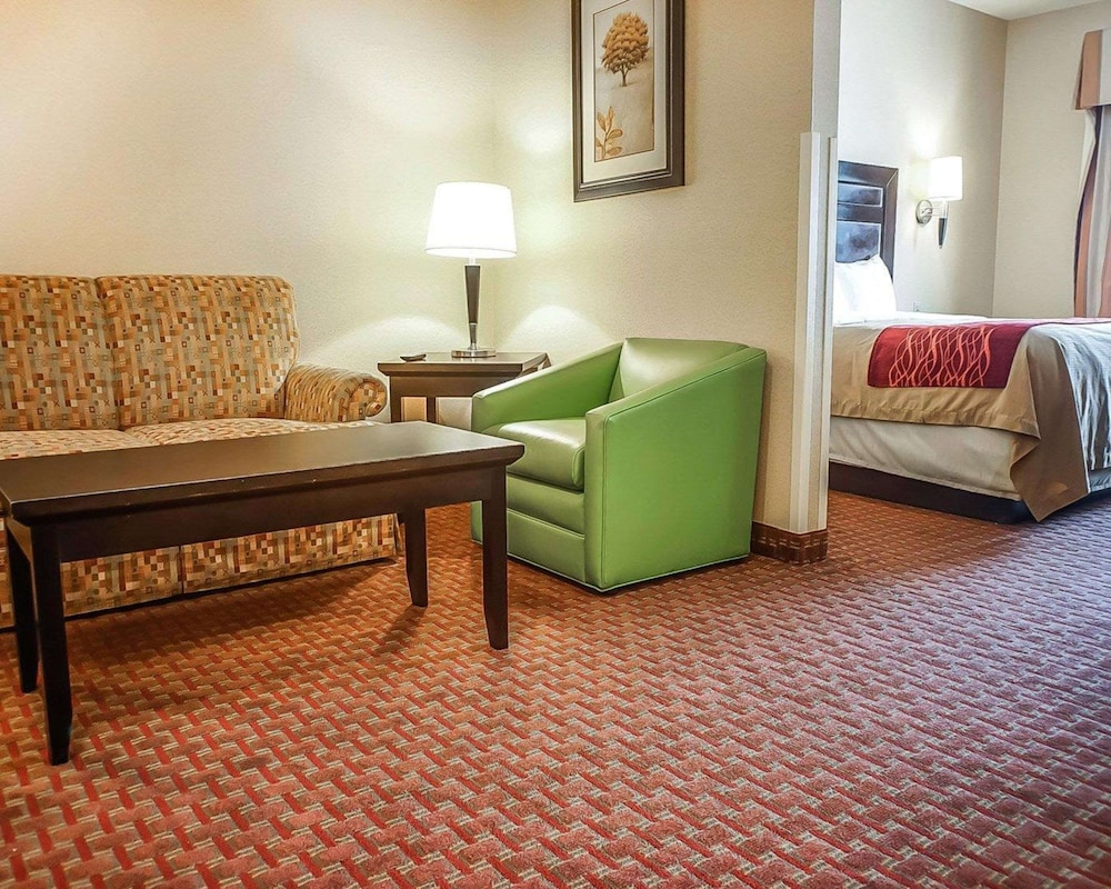 Roswell Vacations - Quality Inn  Suites - Property Image 17