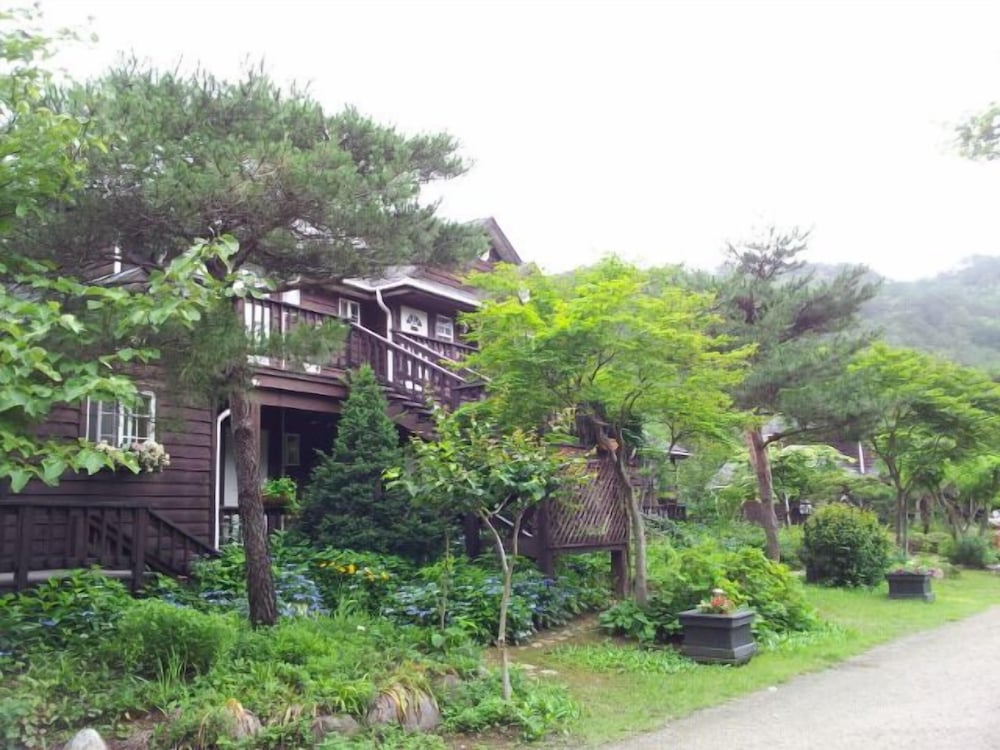 Caddis Pension