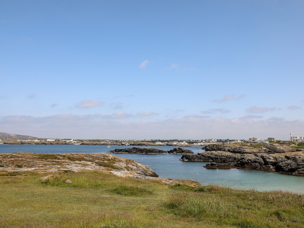 Llwyn Eithin