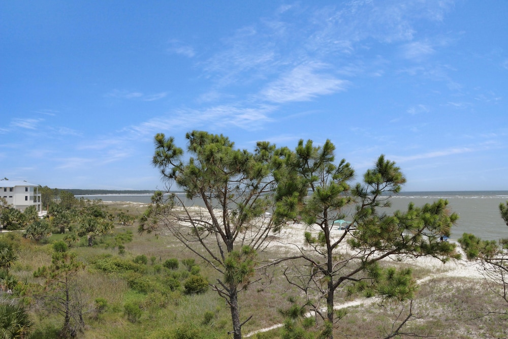 Seminole Wind