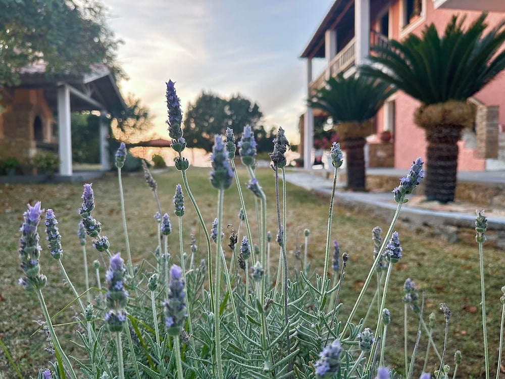 Genari Beach Apartments Garden View Retreat