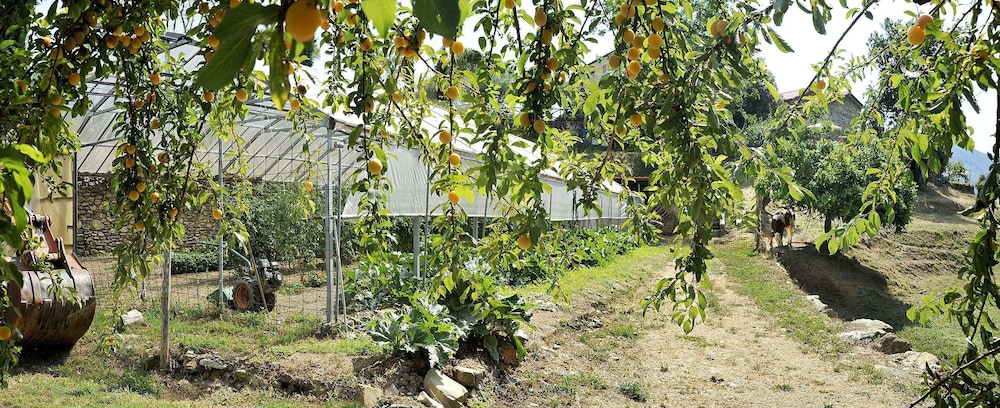 Fattoria Giunasco