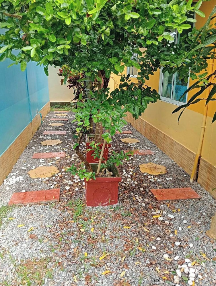 Photo 32