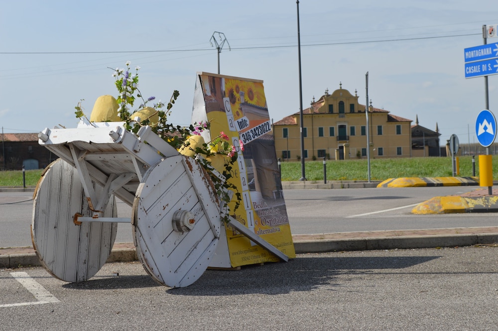 Photo 43
