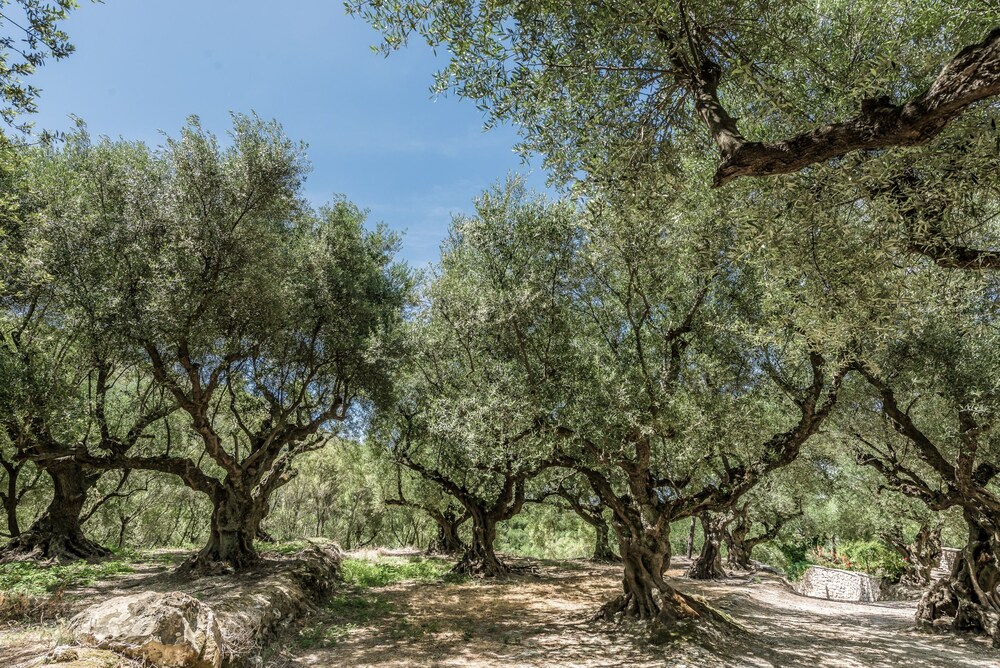 Agrikia Villa