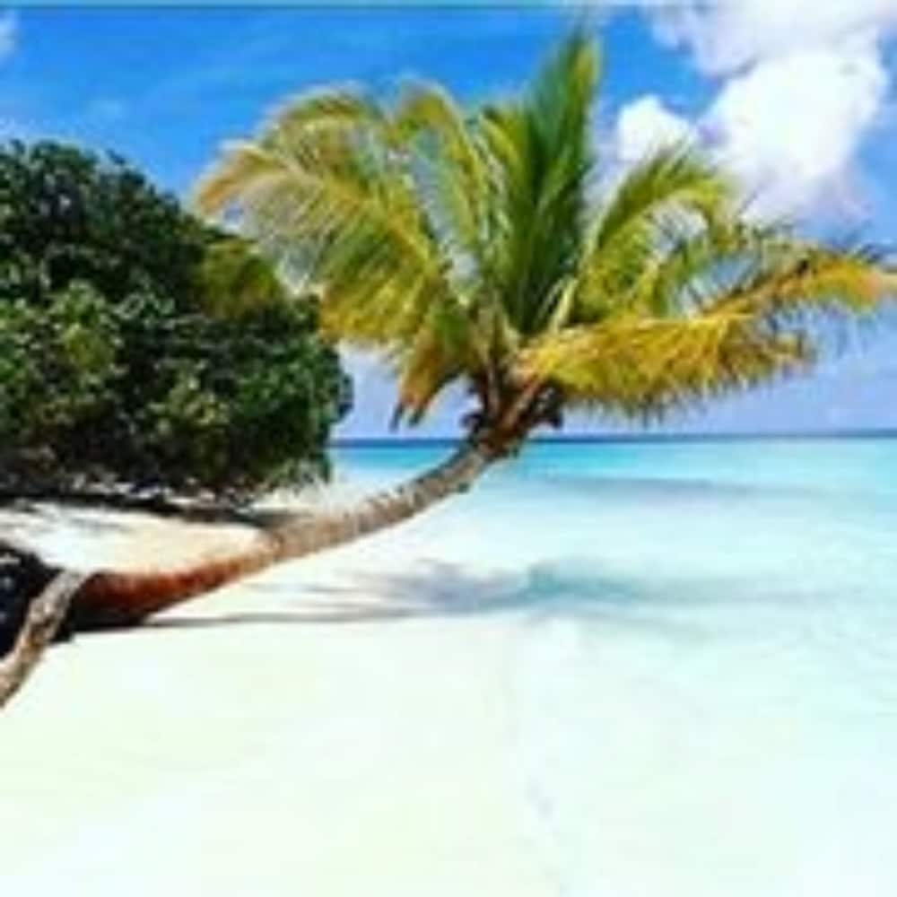 Veli Thoddoo Inn