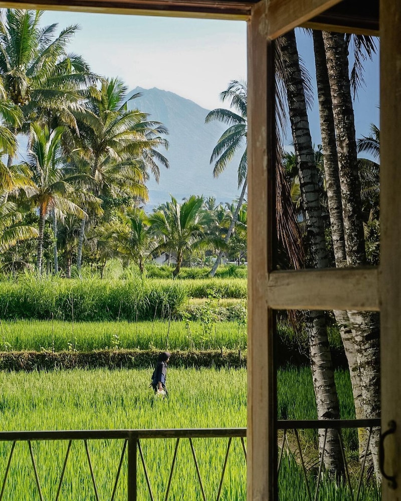 Les Rizieres Lombok - Tetebatu