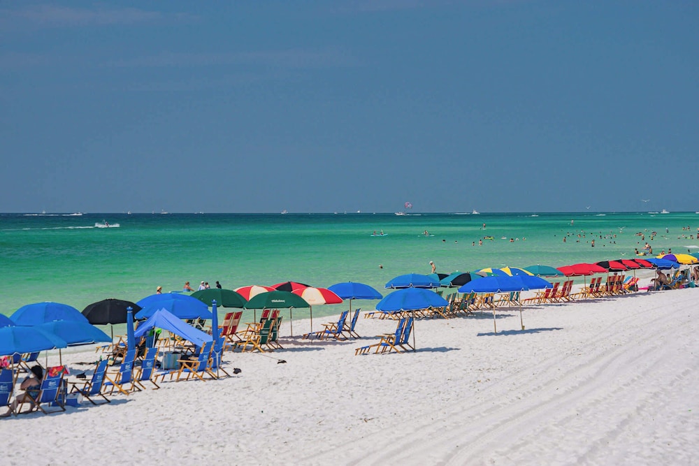 Sun-kissed Shores