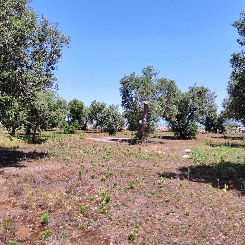 Villetta Paduli - Immersa nel Verde con Vista Mare e Giardino Privato
