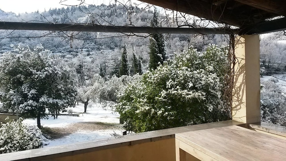 Agriturismo La Barca nel Bosco