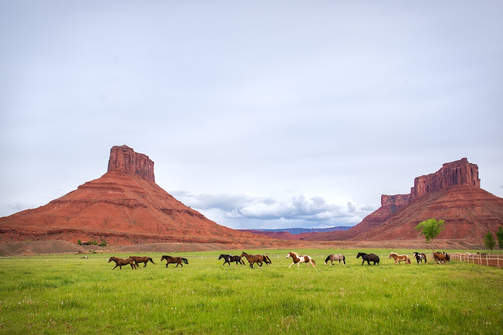 Sorrel River Ranch Resort
